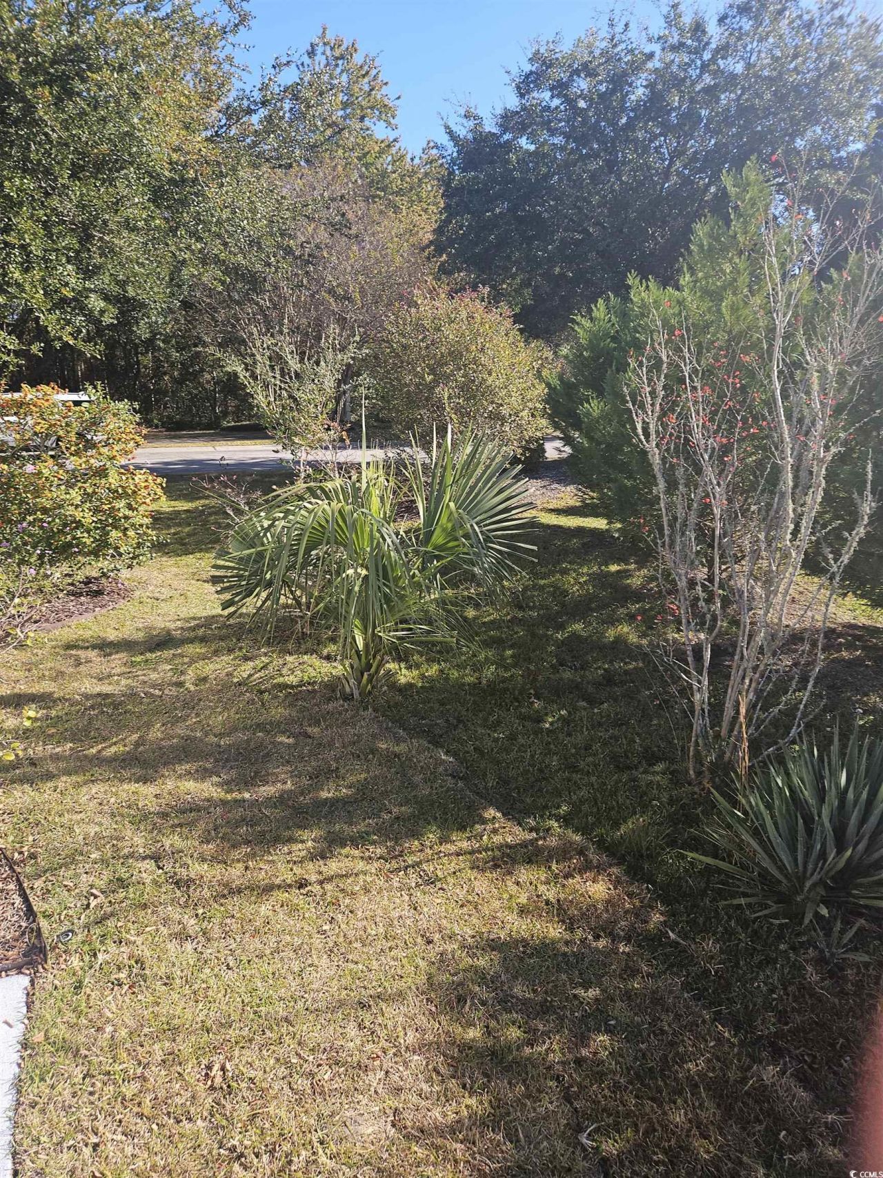 5801 Spinetail Dr. Photo 18