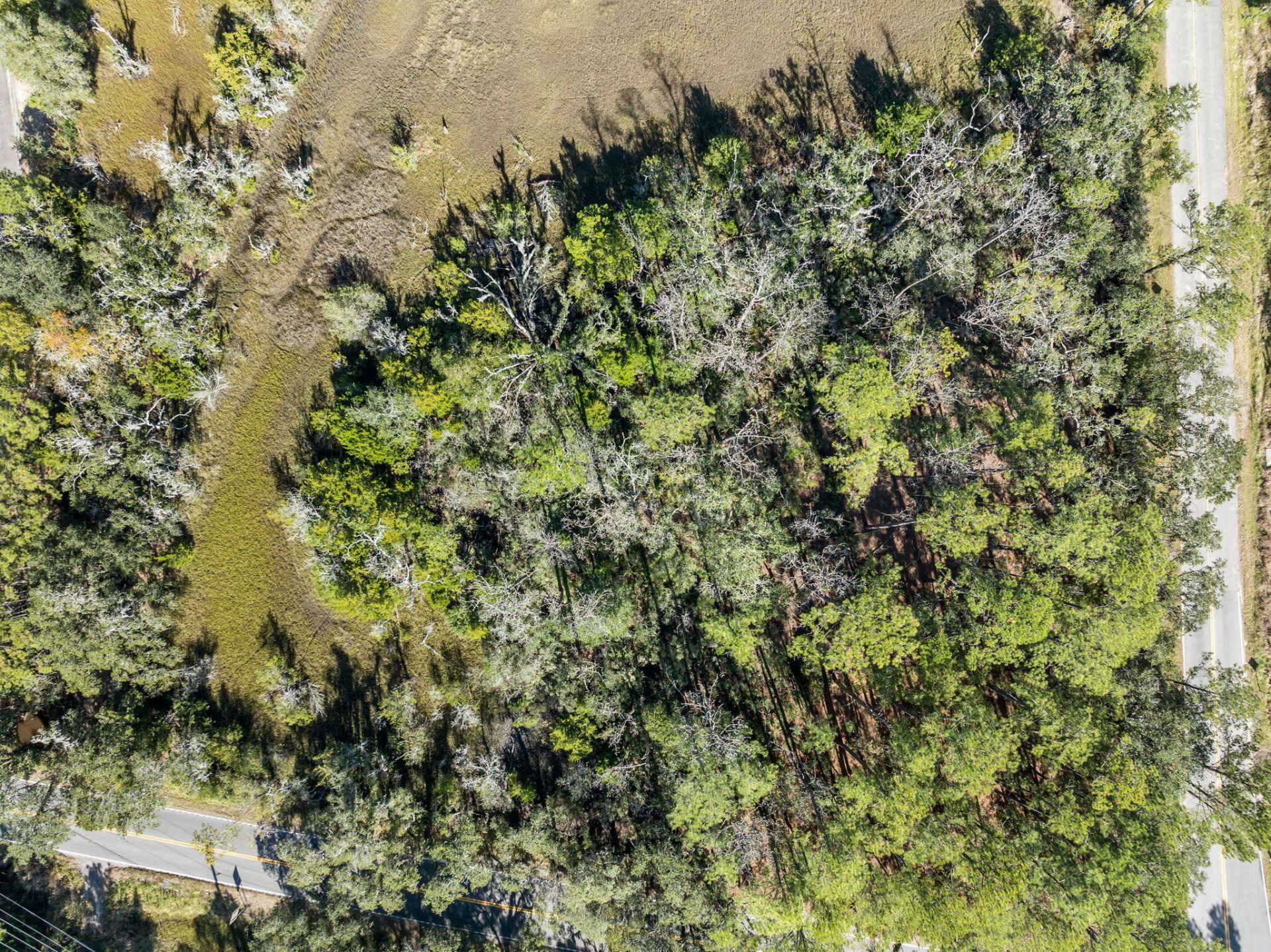 1497 River Road Photo 16