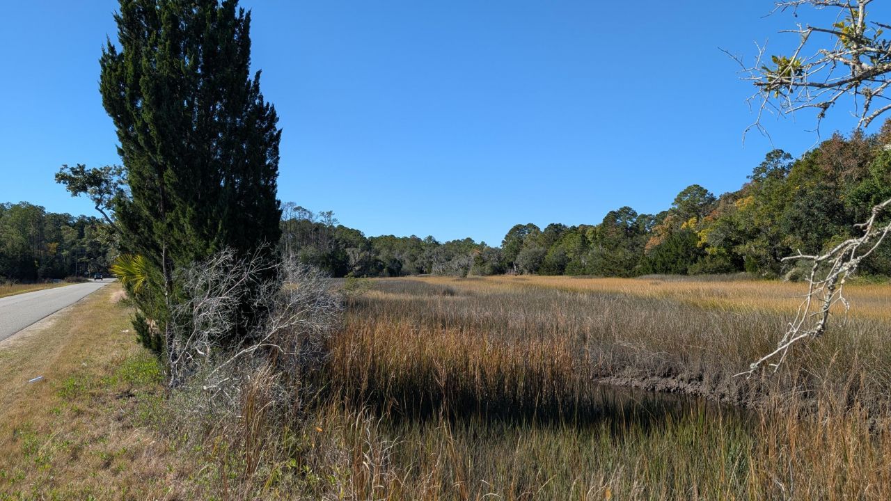 0 River Road Photo 19