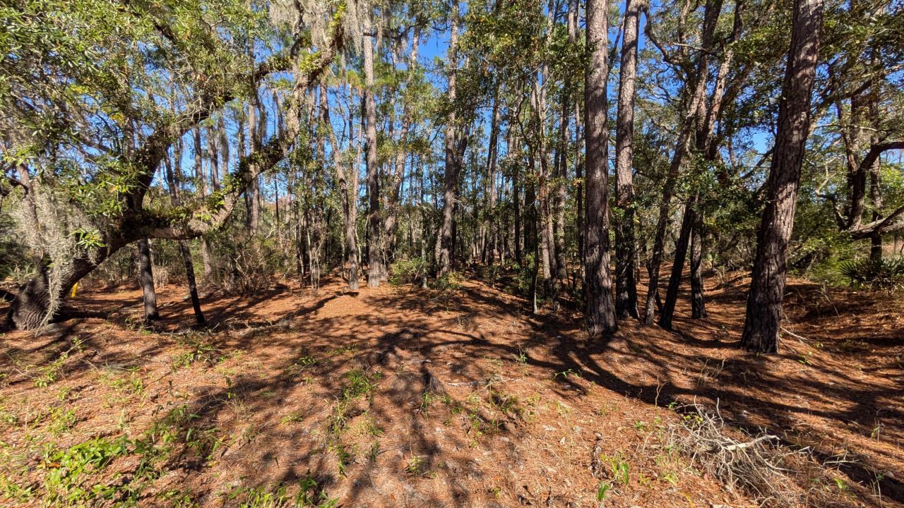 0 River Road Photo 24