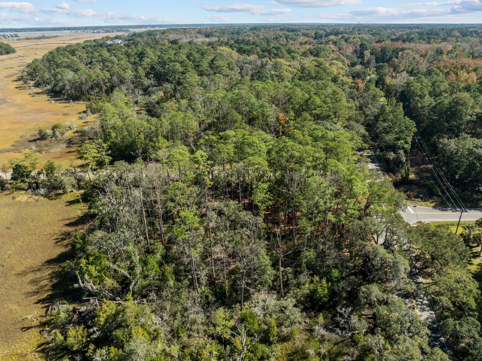 1497 River Road Photo 4