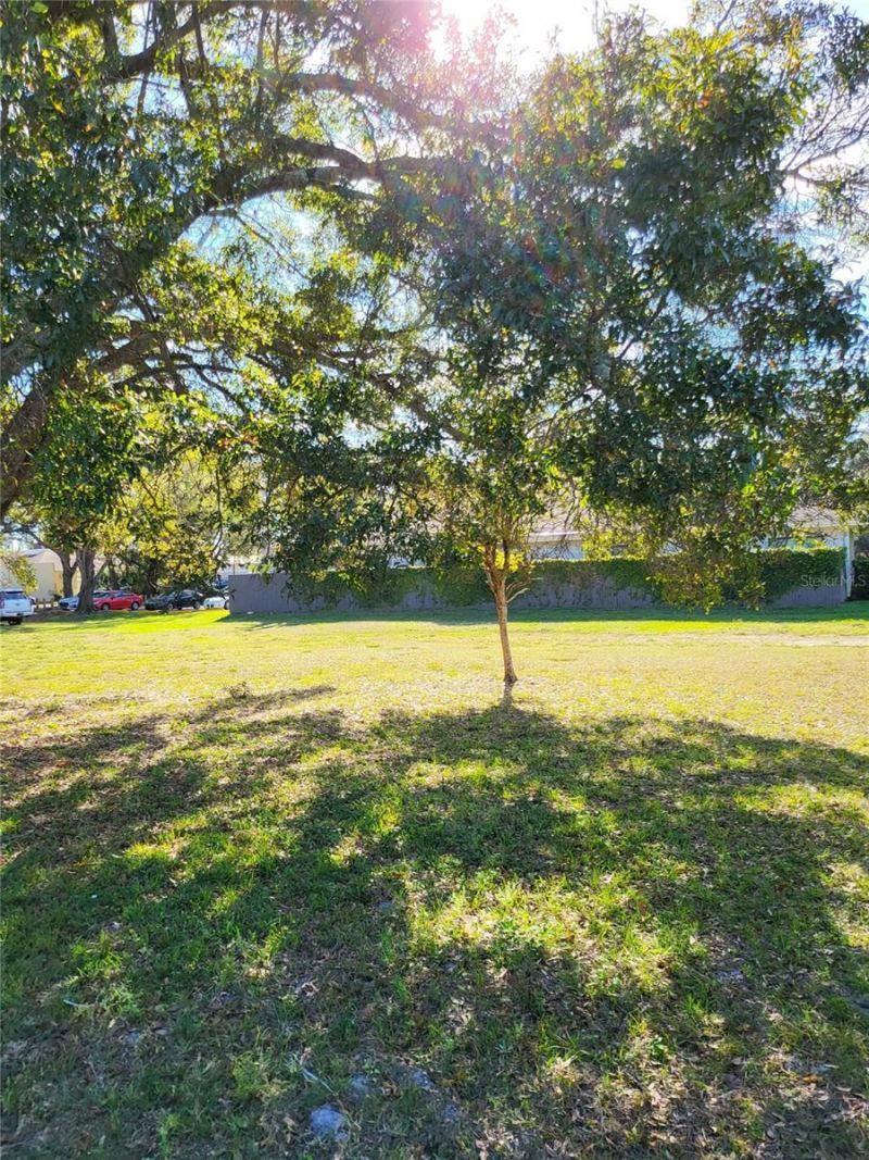 2131 Coachman Road Ne, Clearwater, FL 33765 Photo