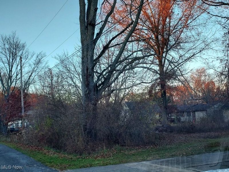 Manchester Avenue, Lake Milton, OH 44429 Photo 2