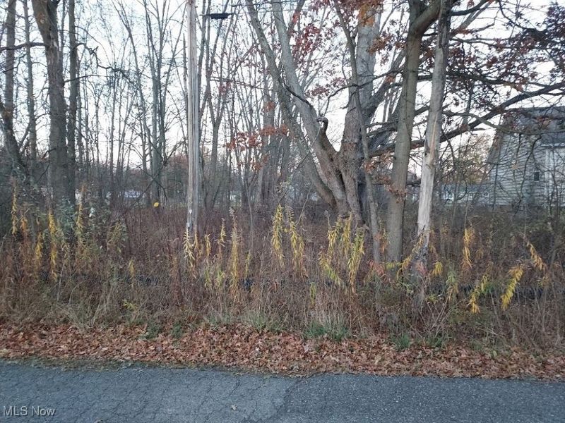 Manchester Avenue, Lake Milton, OH 44429 Photo 3