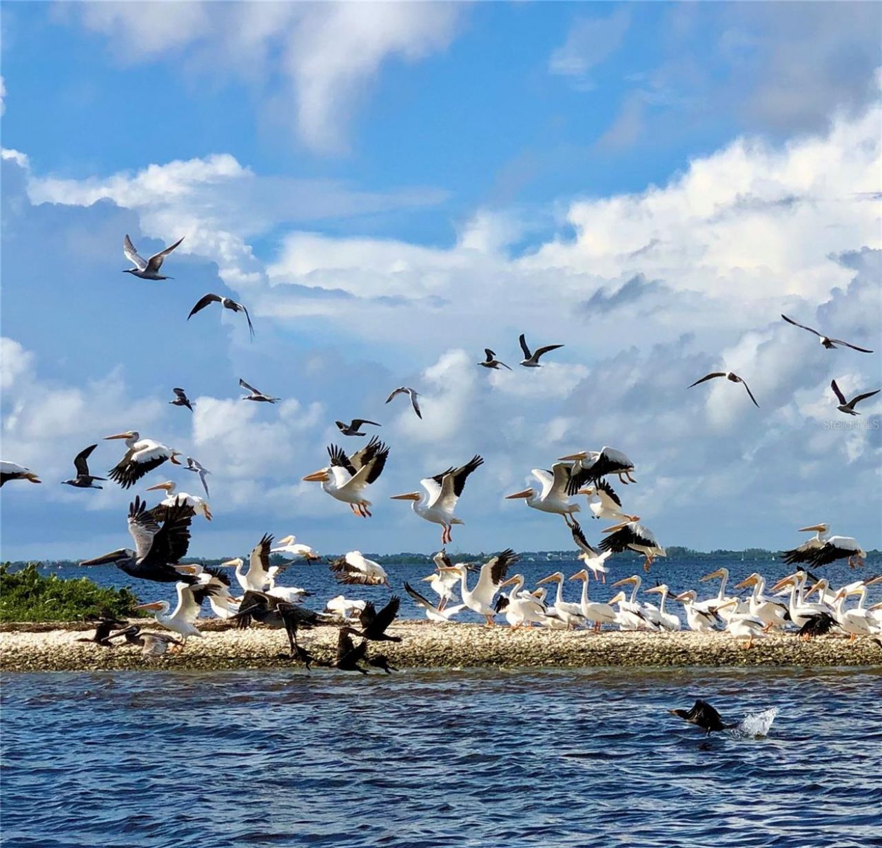 8146 Little Gasparilla Island, Placida, FL 33946 Photo