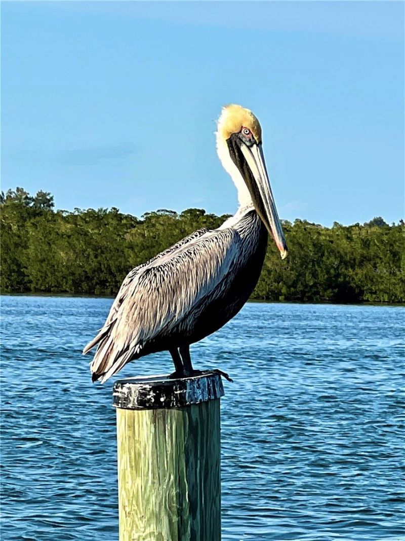 8146 Little Gasparilla Island, Placida, FL 33946 Photo