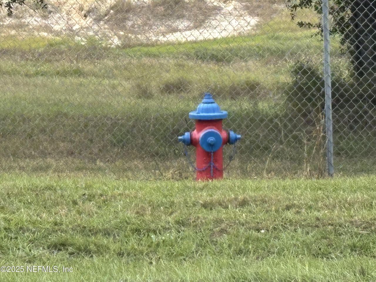 3427-3319 Golden Gem Road, Apopka, FL 32712 Photo