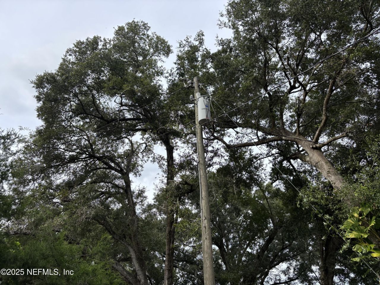 3427-3319 Golden Gem Road, Apopka, FL 32712 Photo