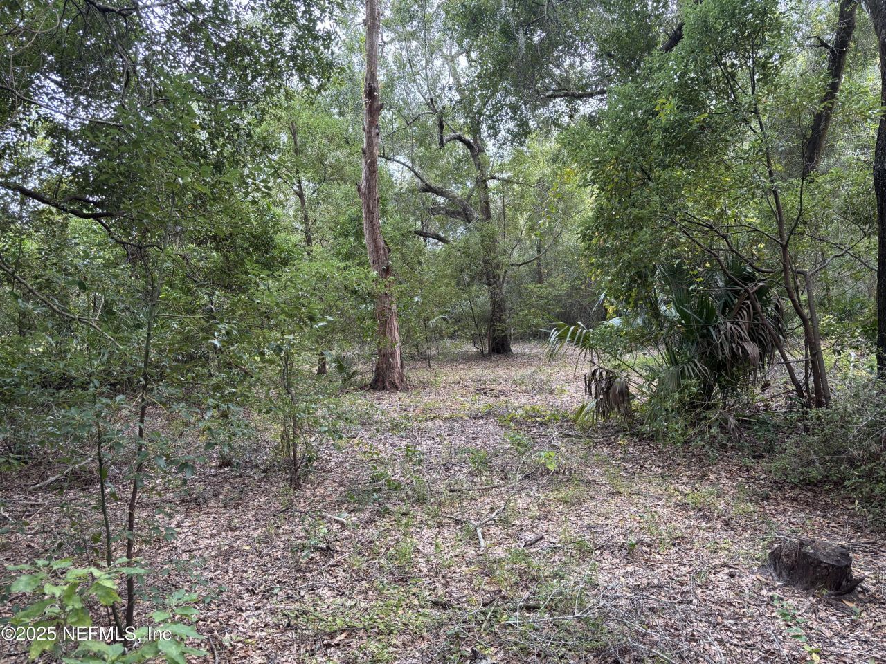 3427-3319 Golden Gem Road, Apopka, FL 32712 Photo