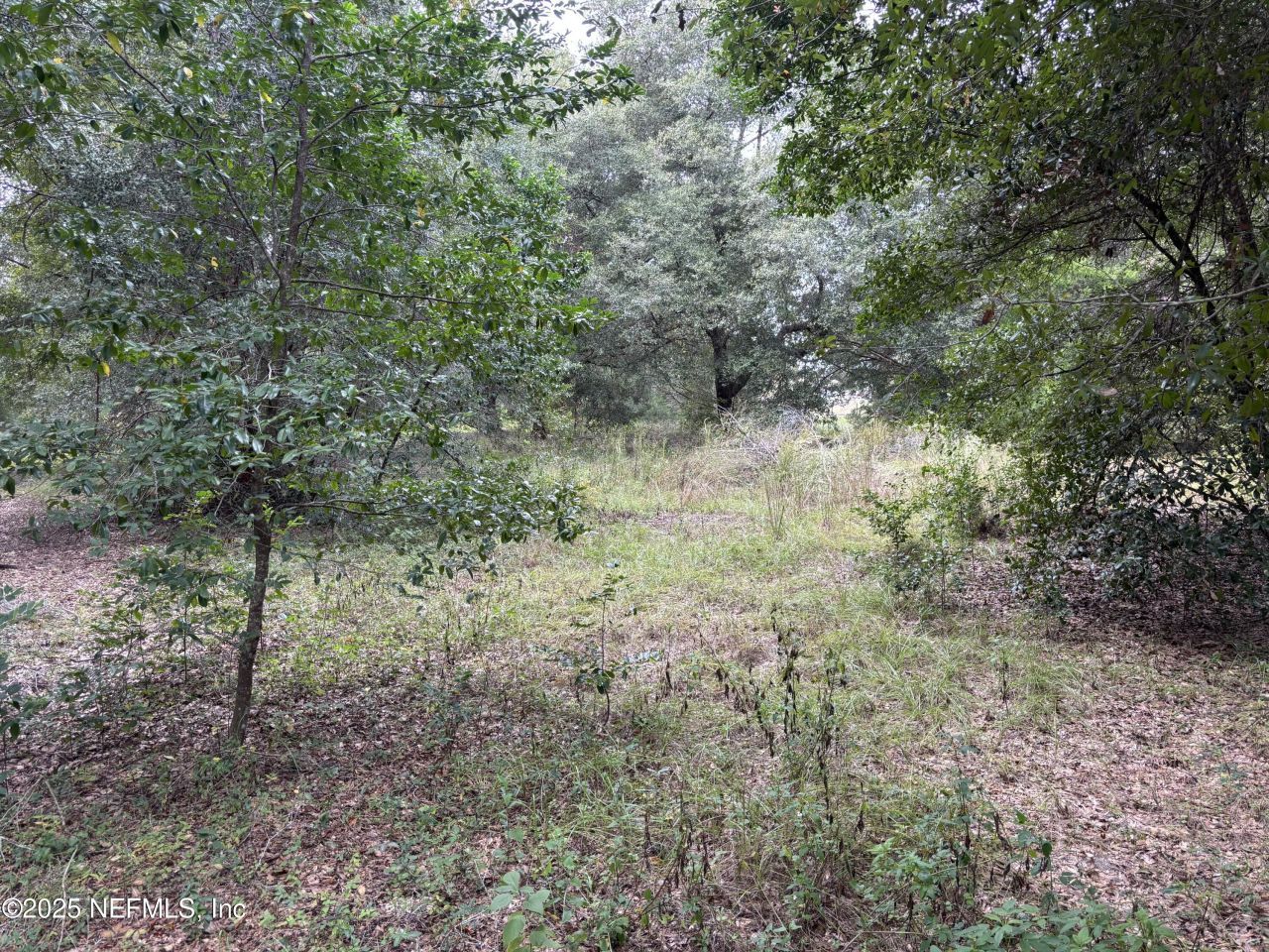 3427-3319 Golden Gem Road, Apopka, FL 32712 Photo