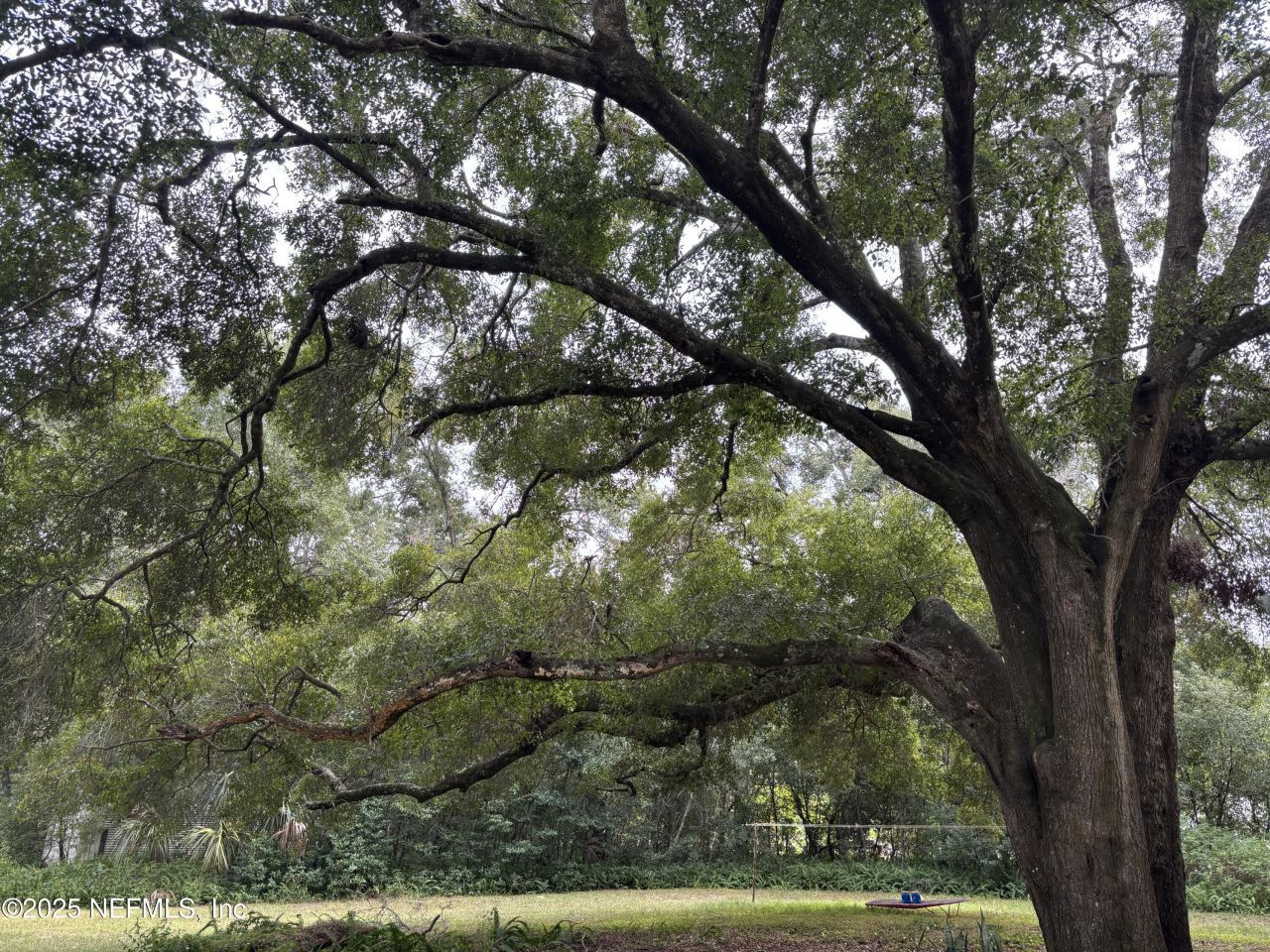 3427-3319 Golden Gem Road, Apopka, FL 32712 Photo