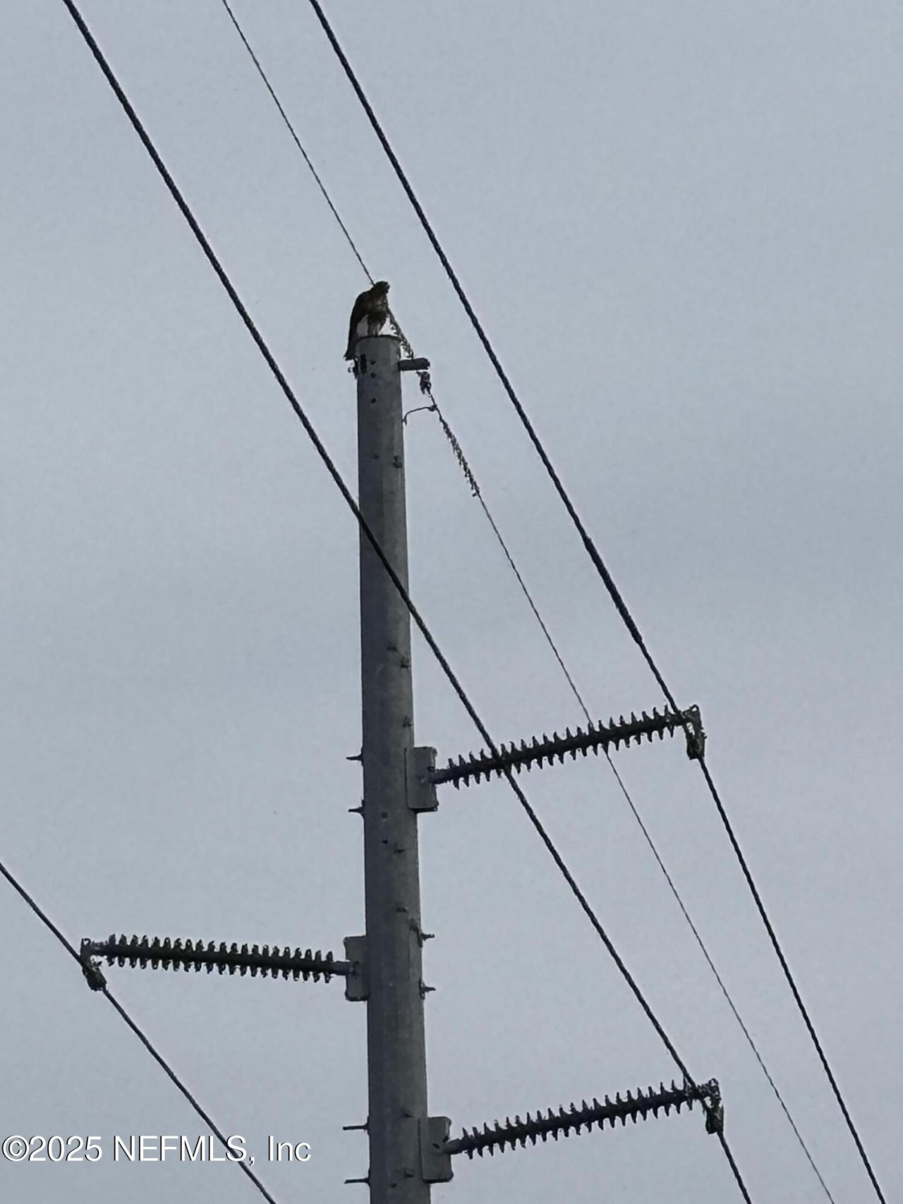 3427-3319 Golden Gem Road, Apopka, FL 32712 Photo