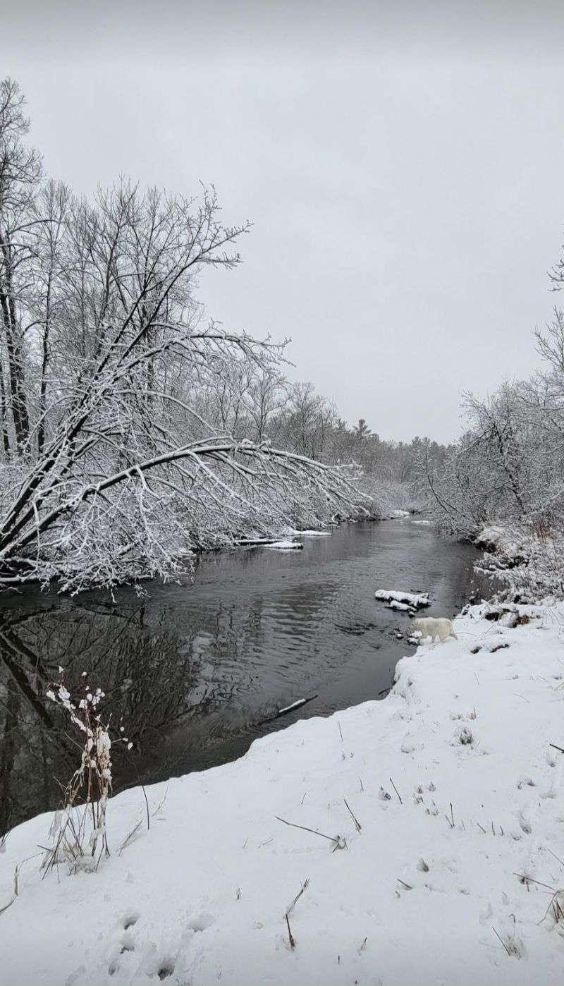 84335 Jack Pine Lane, Sturgeon Lake, MN 55783 Main Photo