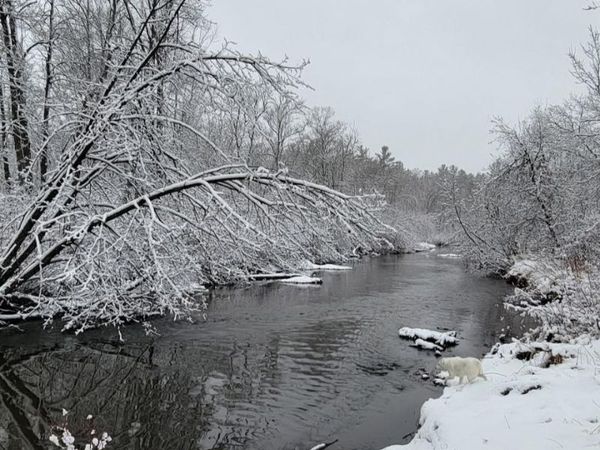 84335 Jack Pine Lane, Sturgeon Lake, MN 55783
