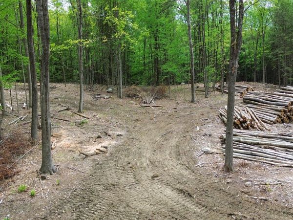 Lot 26-1 Plain Road, Hinsdale, NH 03451