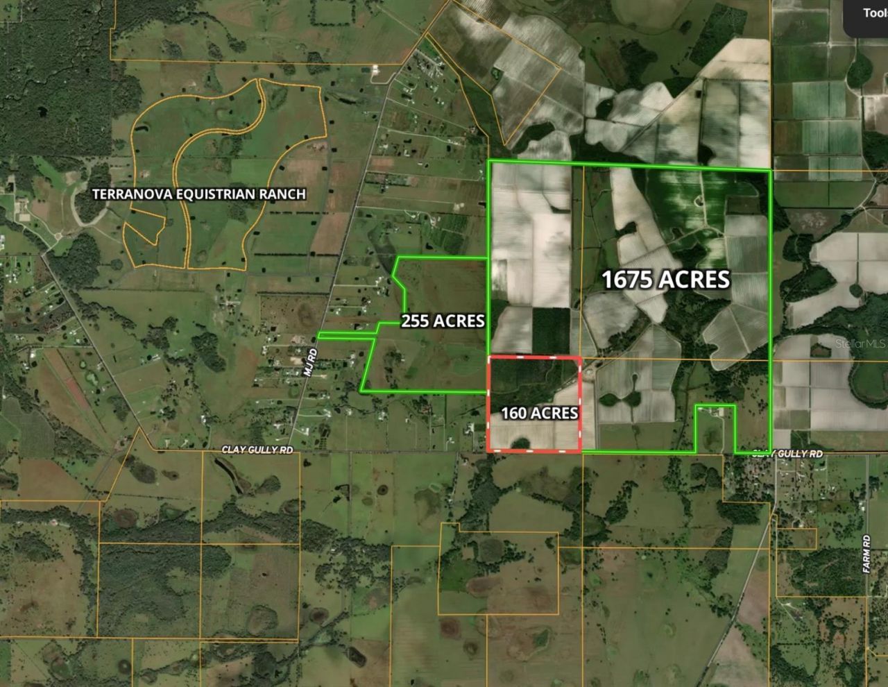 Clay Gully Road, Myakka City, FL 34251 Photo