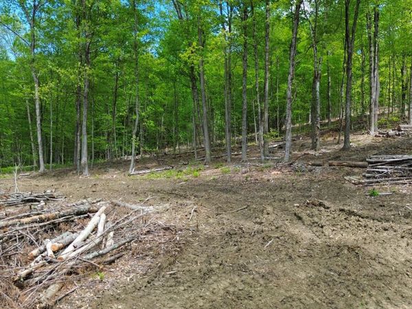 Lot 26-4 Plain Road, Hinsdale, NH 03451