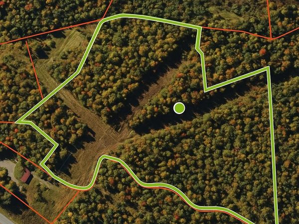 Spruce Run Rd, Summersville, WV 26651