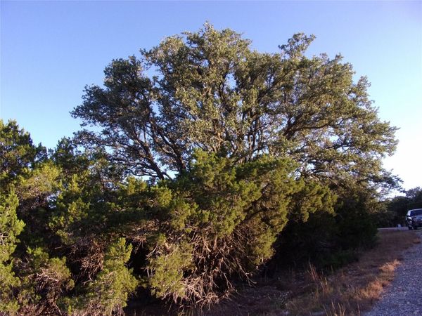 361/395 Mountain Wood DR, Canyon Lake, TX 78133