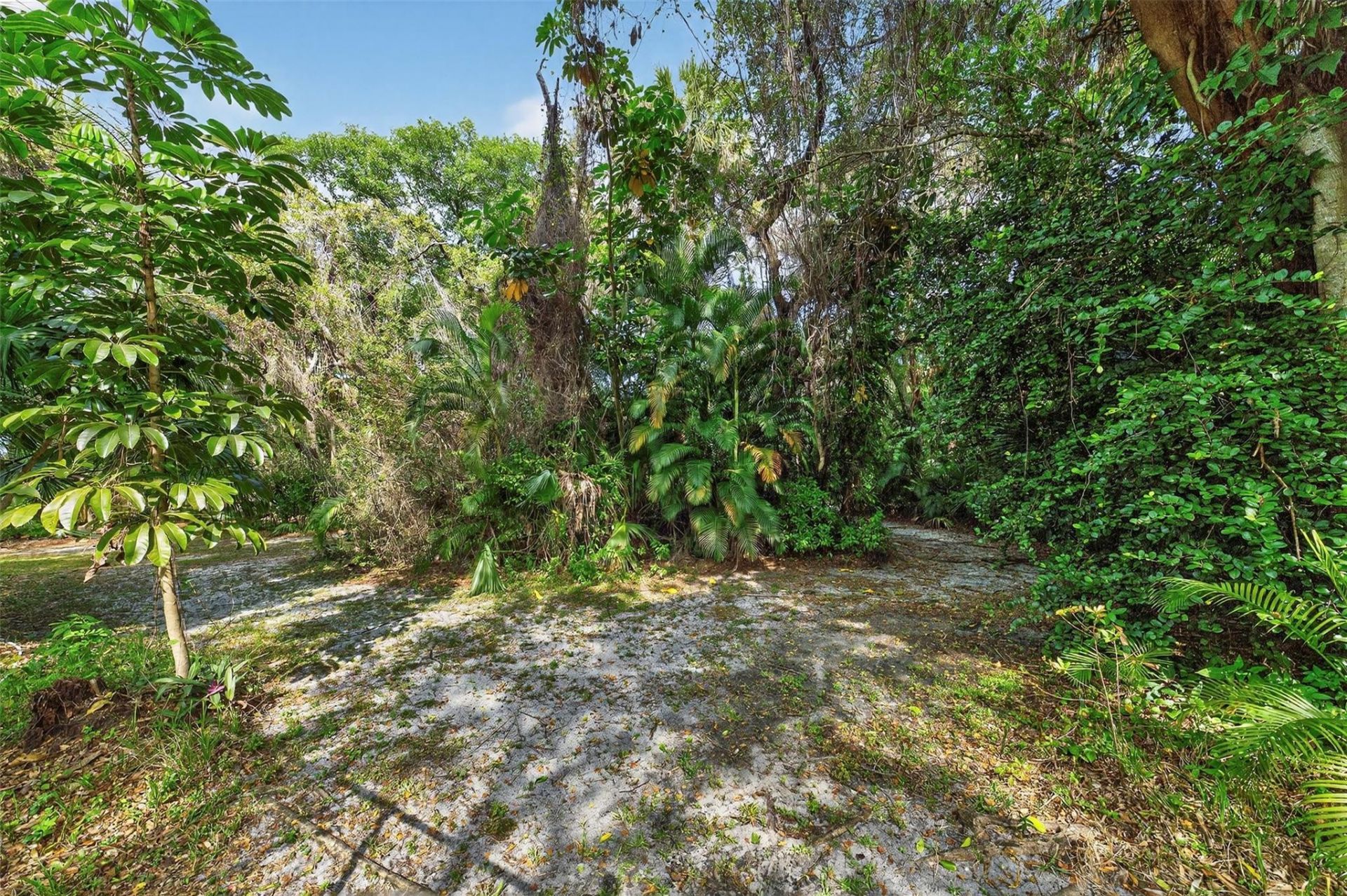 1711 SW 30th Place, Fort Lauderdale, FL 33315 Photo