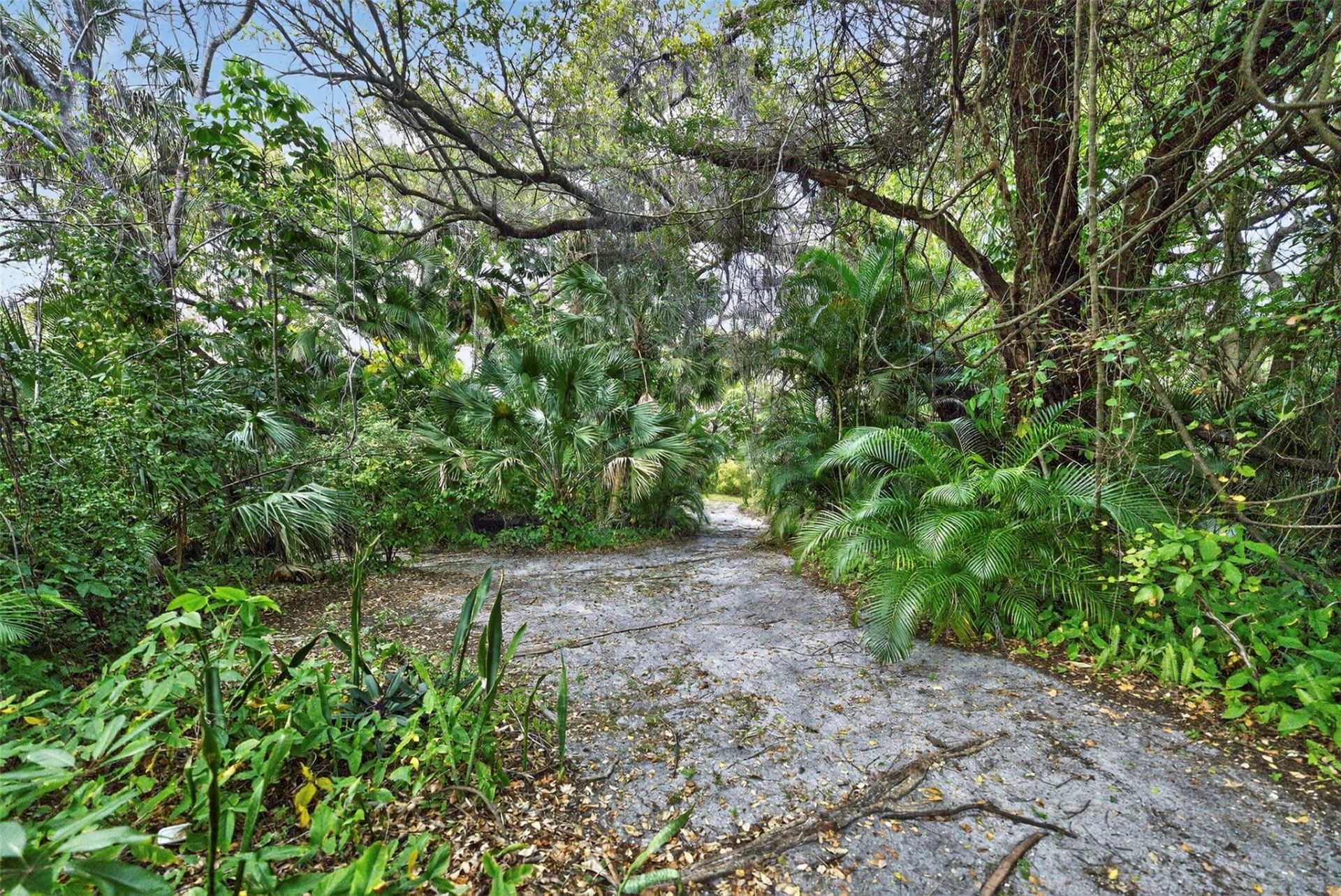 1711 SW 30th Place, Fort Lauderdale, FL 33315 Photo