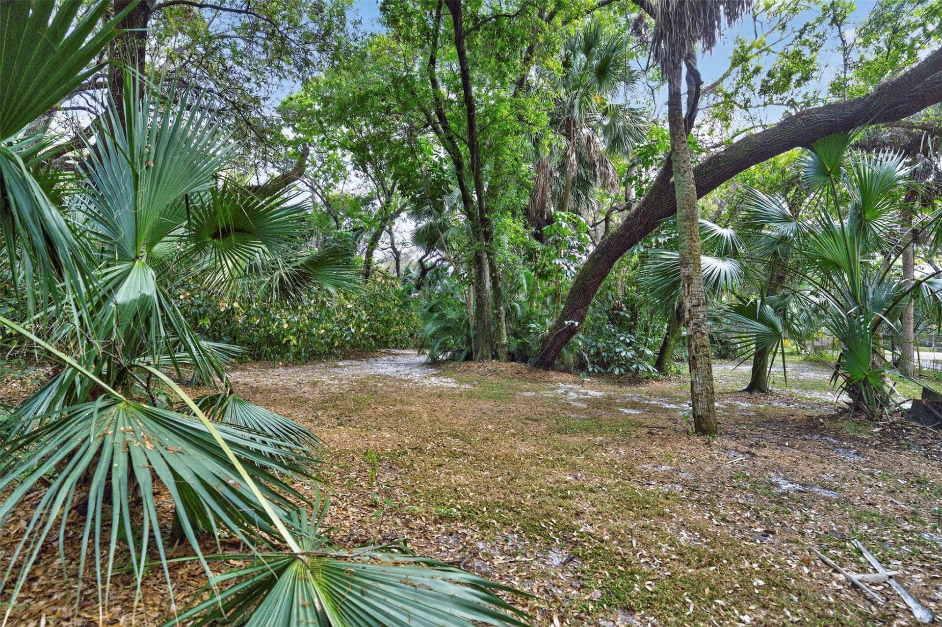 1711 SW 30th Place, Fort Lauderdale, FL 33315 Photo