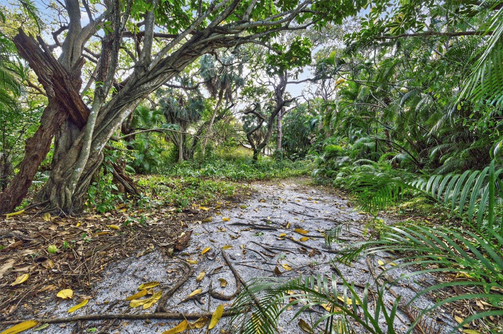 1711 SW 30th Place, Fort Lauderdale, FL 33315 Photo