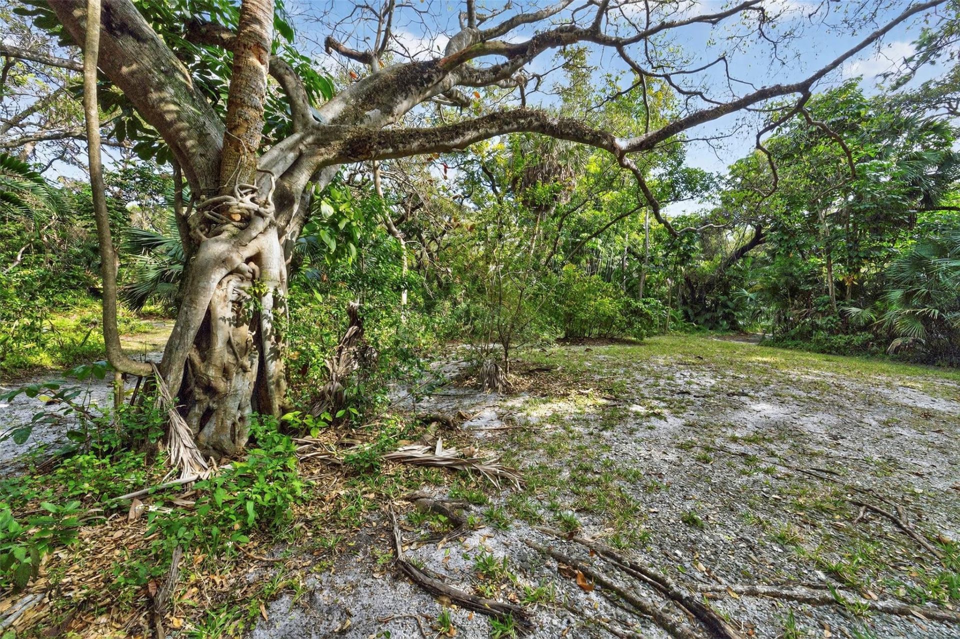 1711 SW 30th Place, Fort Lauderdale, FL 33315 Photo