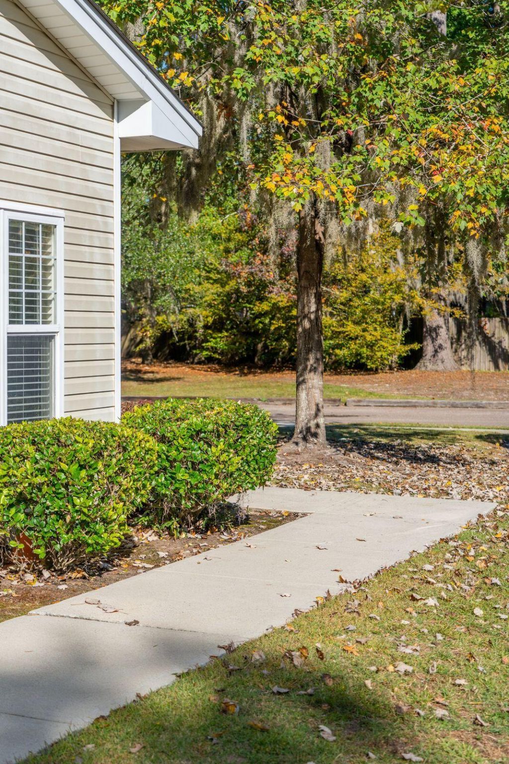 101 Angel Oaks Court Photo 38