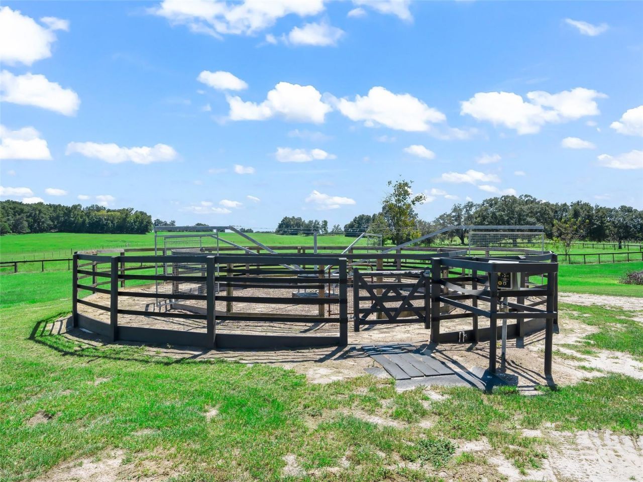 15600 SE 47th Avenue, Summerfield, FL 34491 Photo