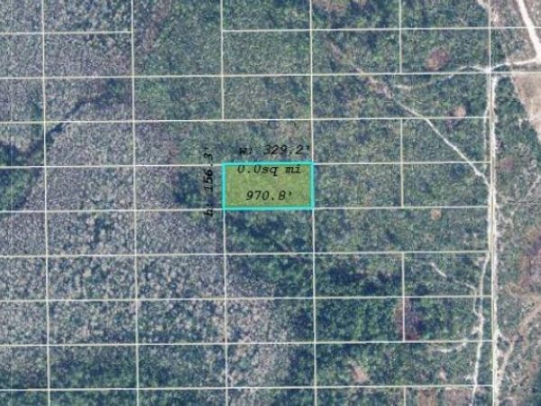 DILL ROAD, ORLANDO, FL 32820