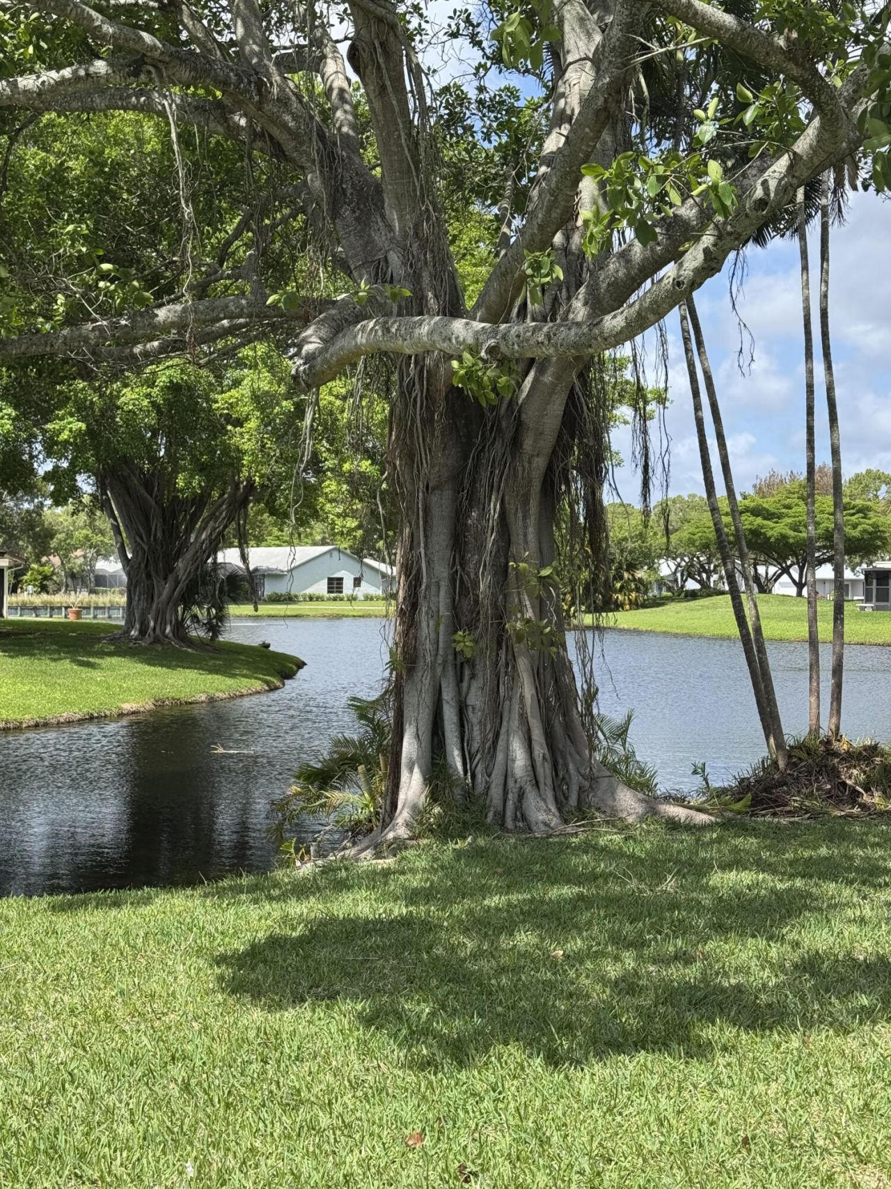 16843 Boca Delray Drive, Delray Beach, FL 33484 Photo
