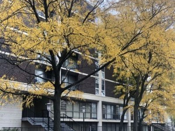 1043 S York Road, Unit 208, Bensenville, IL 60106