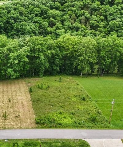 0 Wagon Lane, Speedwell, TN 37870 Main Photo