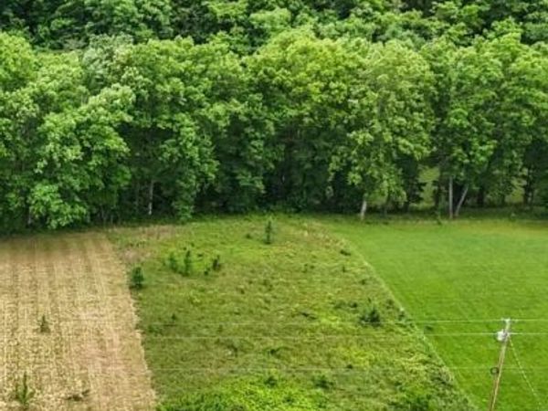 0 Wagon Lane, Speedwell, TN 37870