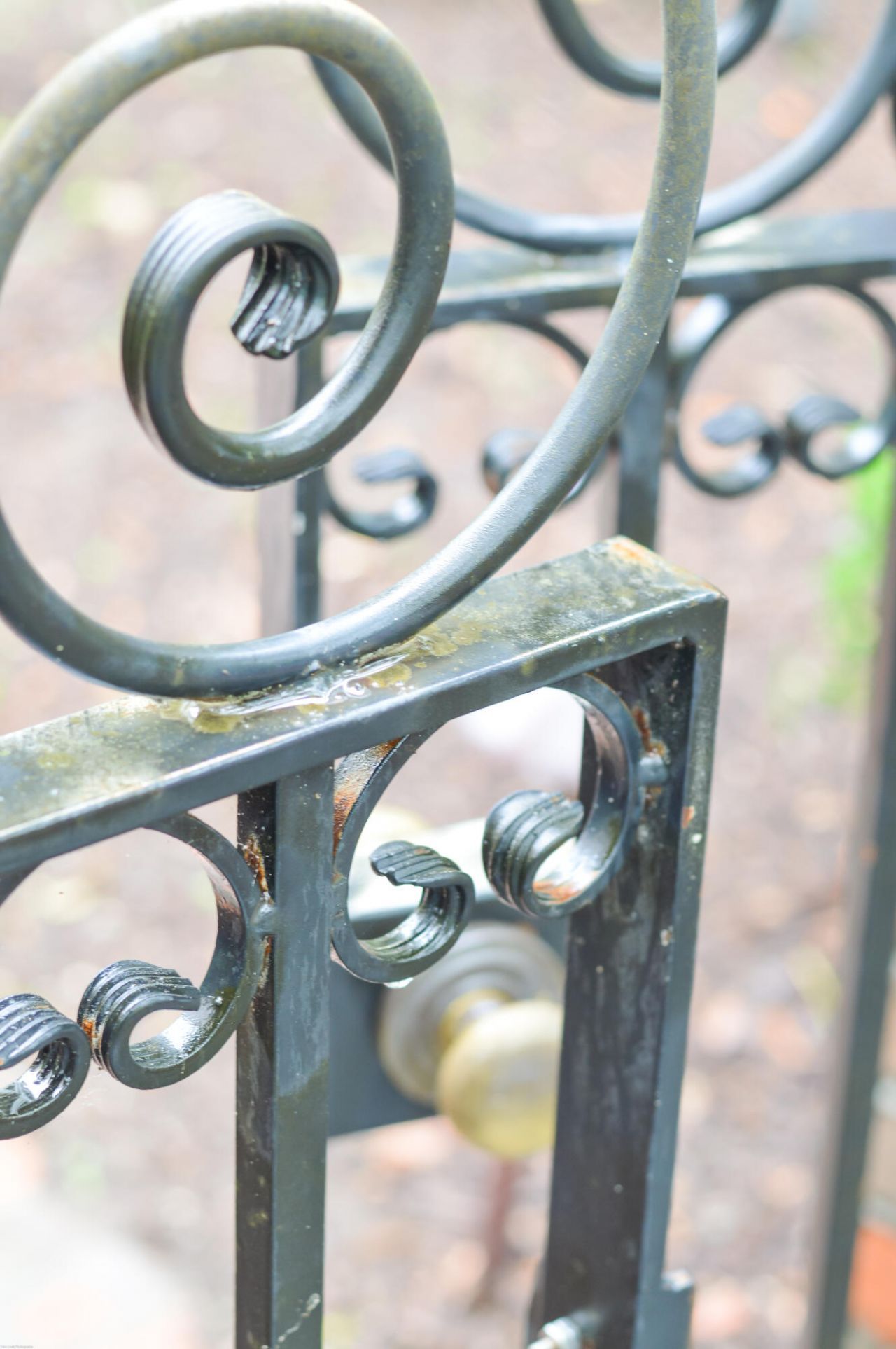 119 Civitas Street Photo 8