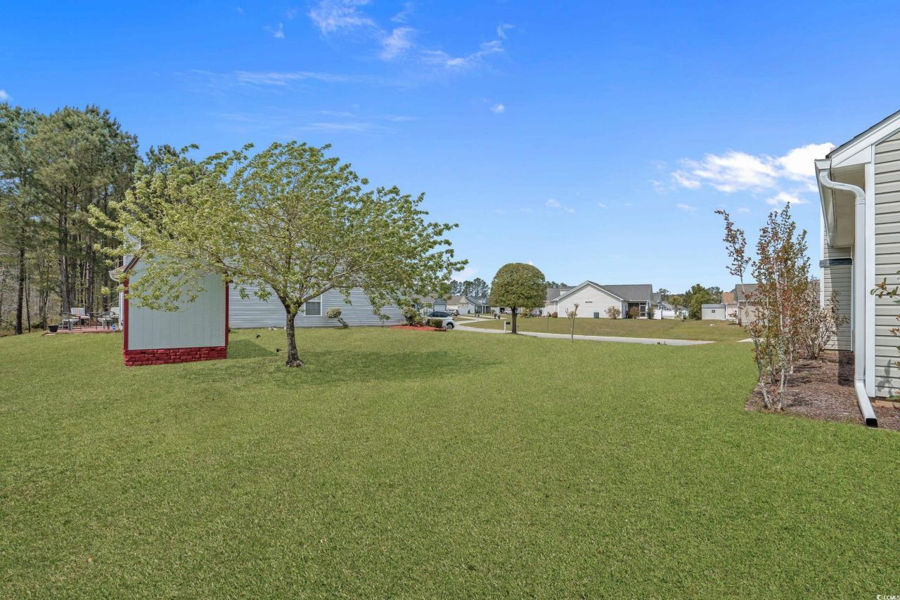 127 Heath Dr. Photo 33