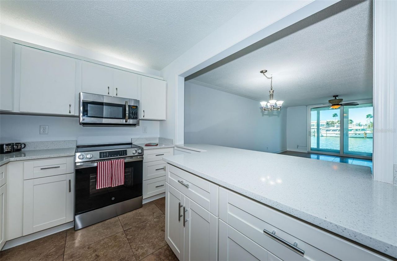 7420 Bay Island Drive S, Unit 171, South Pasadena, FL 33707 Photo