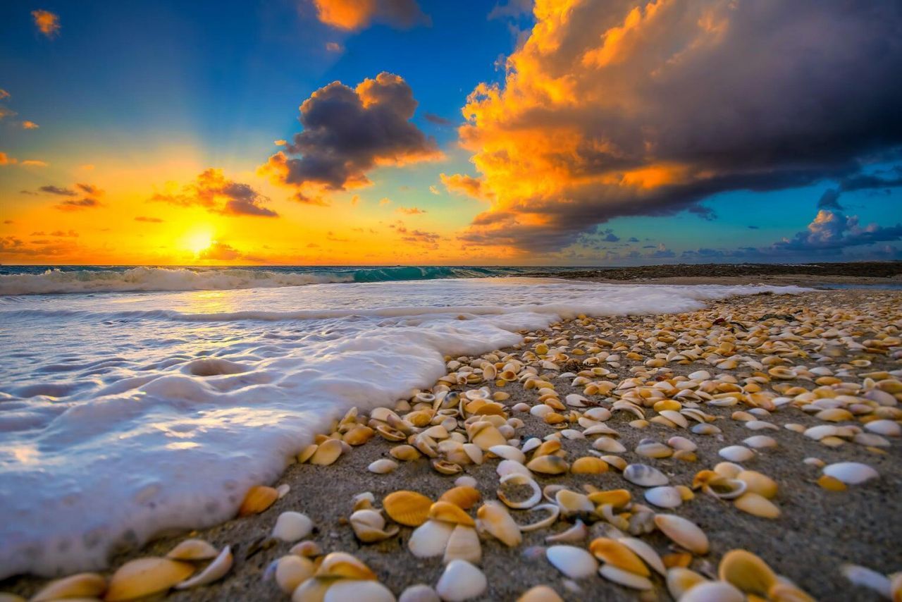 5440 N Ocean Drive, Unit 1206, Riviera Beach, FL 33404 Photo