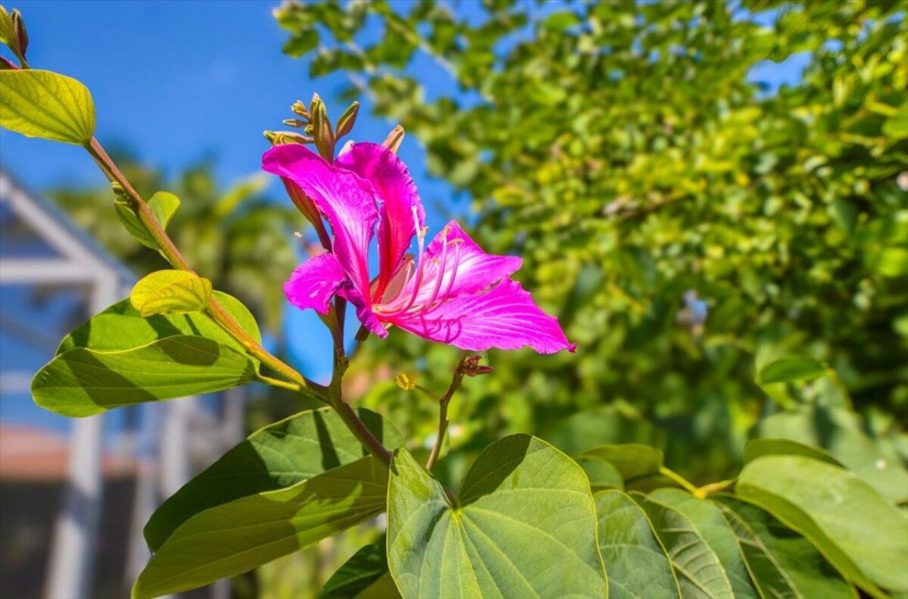 11098 SW Wyndham Way, Port Saint Lucie, FL 34987 Photo