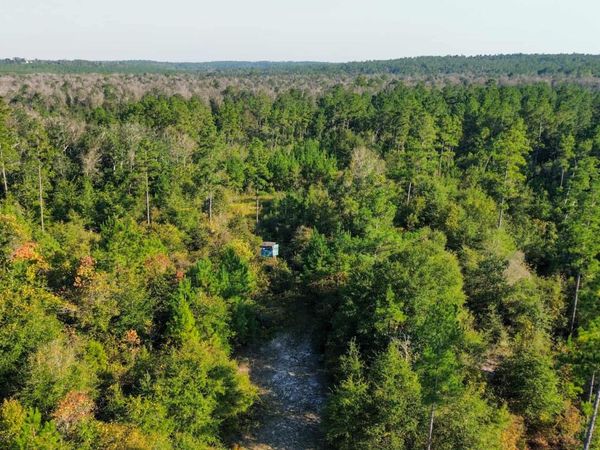 TBD Broadview Avenue, Alford, FL 32420