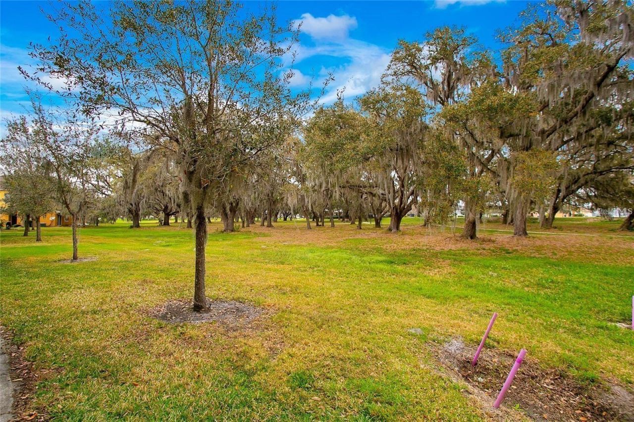 4451 Arlington Avenue, Saint Cloud, FL 34769 Photo
