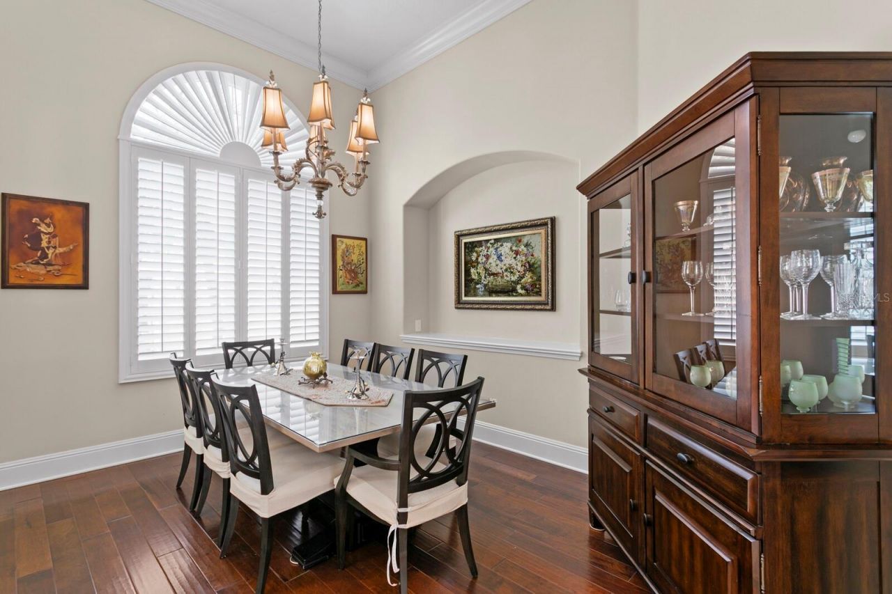 16423 Burniston Drive, Tampa, FL 33647 Photo