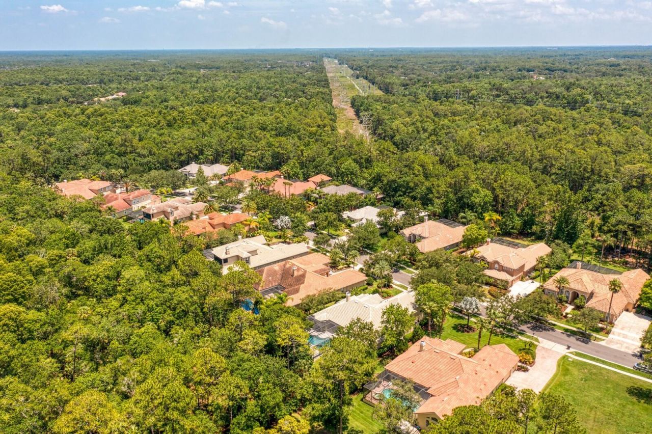 16423 Burniston Drive, Tampa, FL 33647 Photo