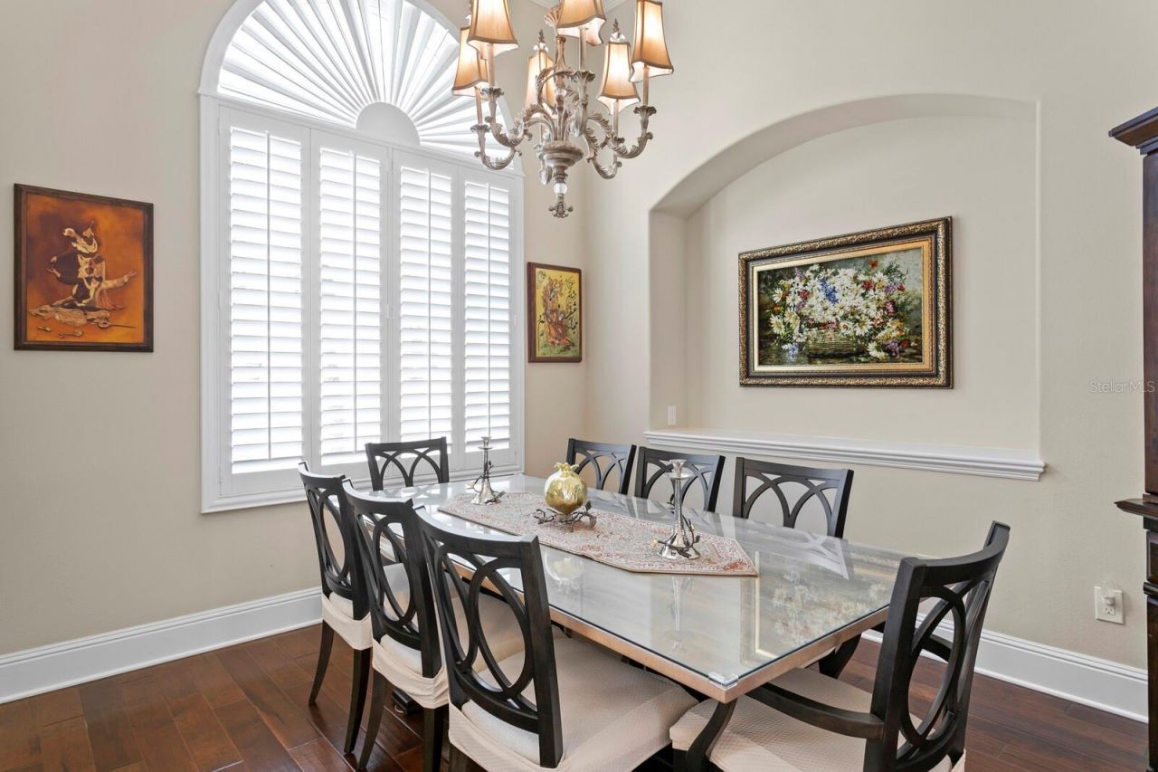 16423 Burniston Drive, Tampa, FL 33647 Photo