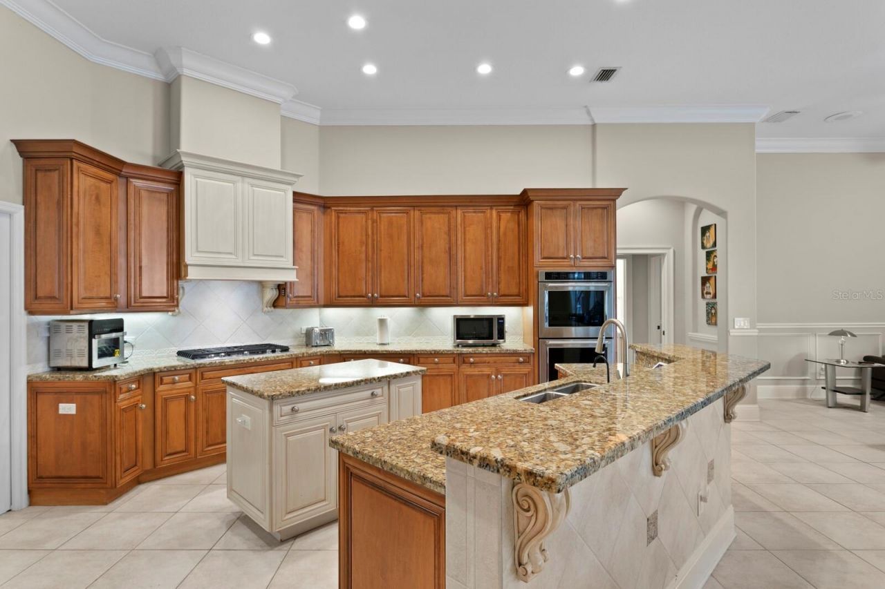 16423 Burniston Drive, Tampa, FL 33647 Photo