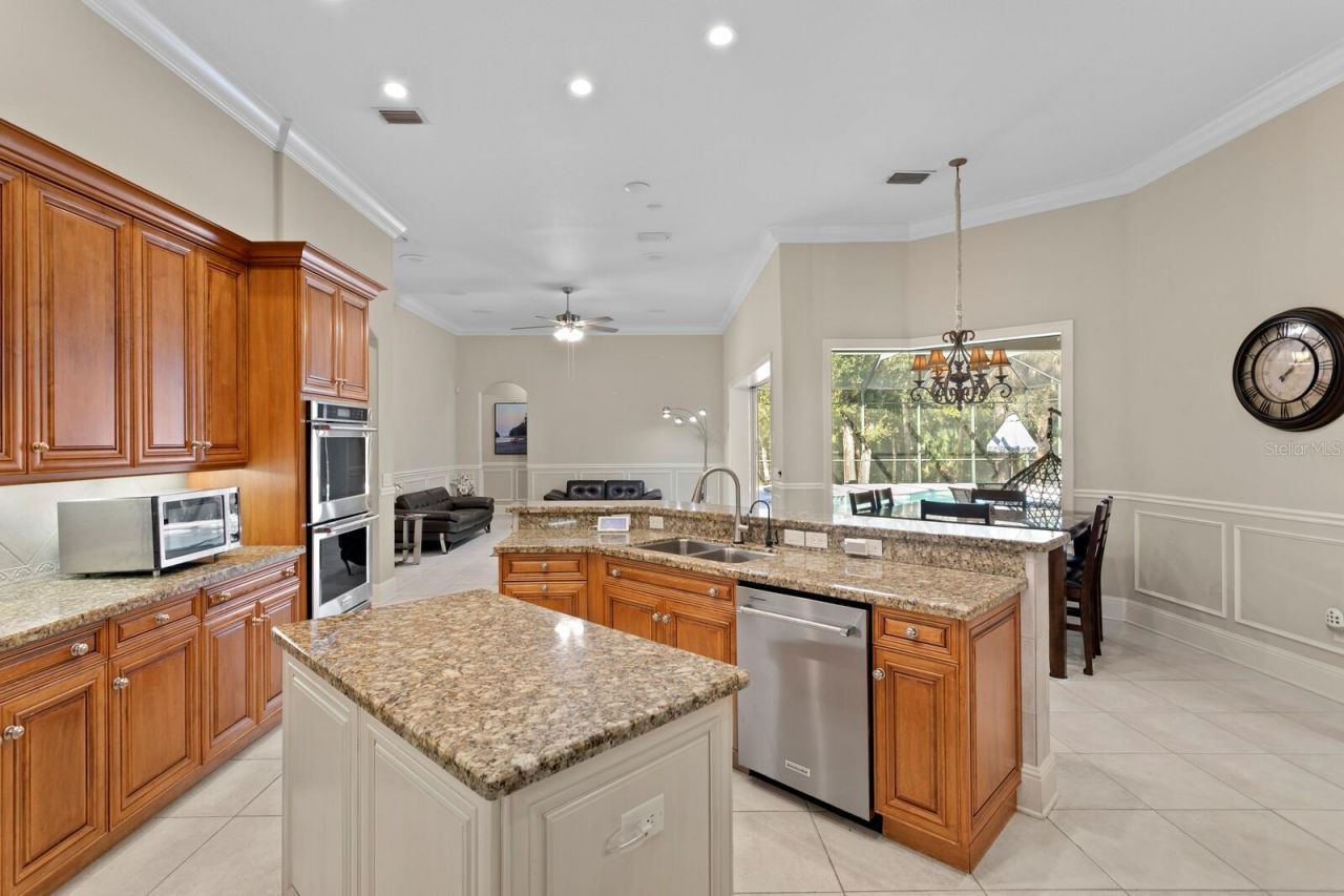 16423 Burniston Drive, Tampa, FL 33647 Photo