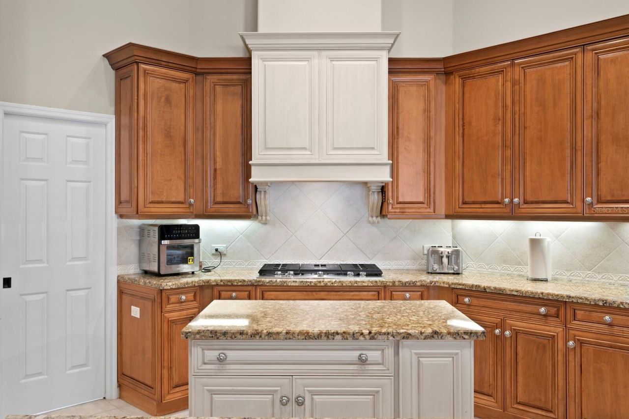 16423 Burniston Drive, Tampa, FL 33647 Photo