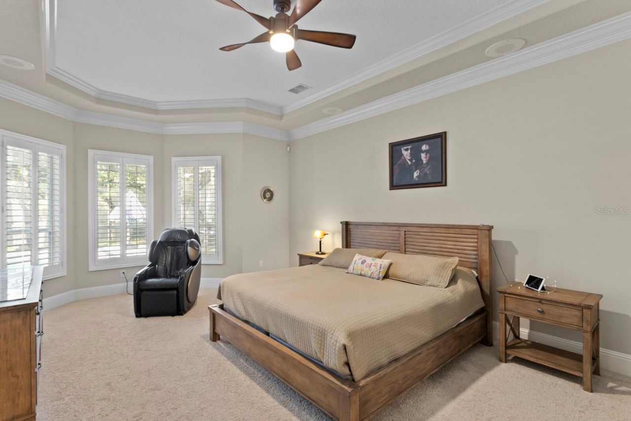 16423 Burniston Drive, Tampa, FL 33647 Photo