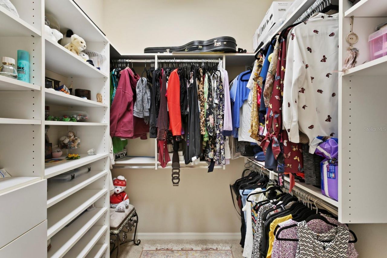 16423 Burniston Drive, Tampa, FL 33647 Photo